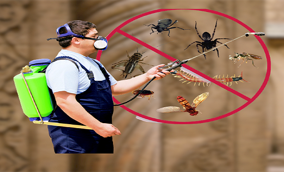 Pest Control Service