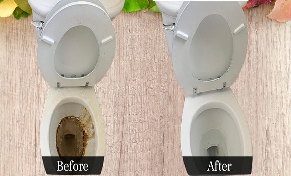 toilet-cleaning-services
